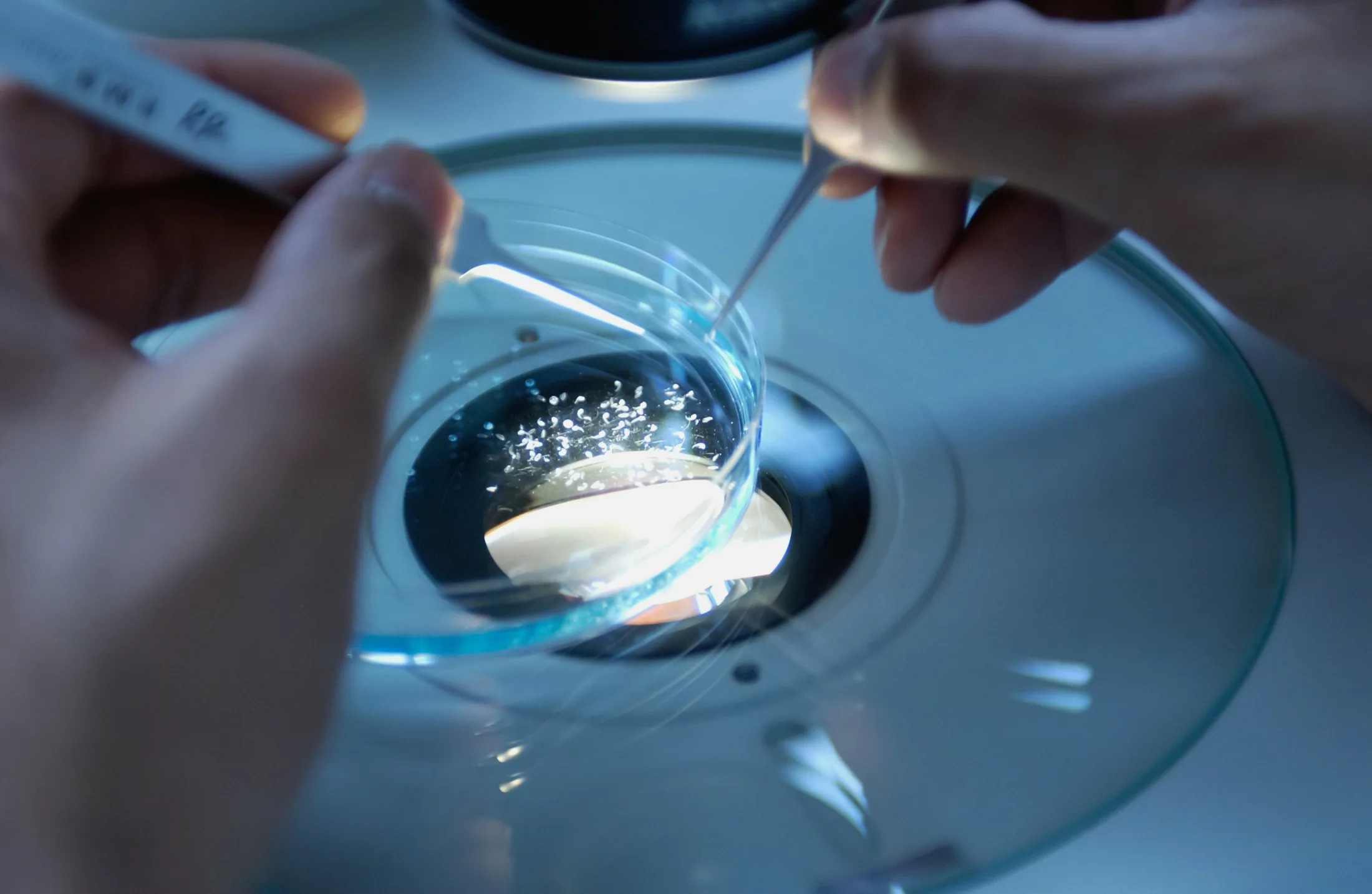 Laboratory research closeup showing scientific equipment and techniques